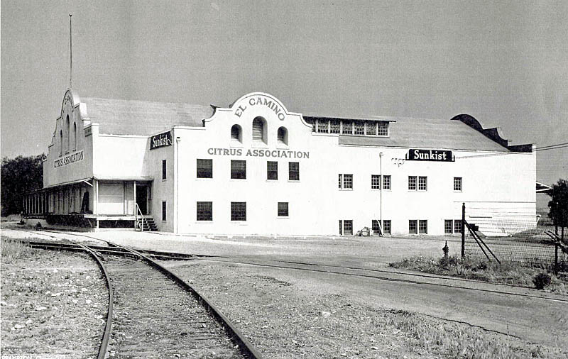 Packing Houses and Other Structures in Southern California
